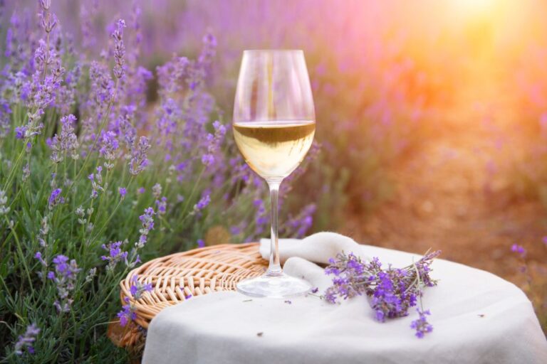 13 Best Provence Wine Tours From Nice & Beyond (2023)