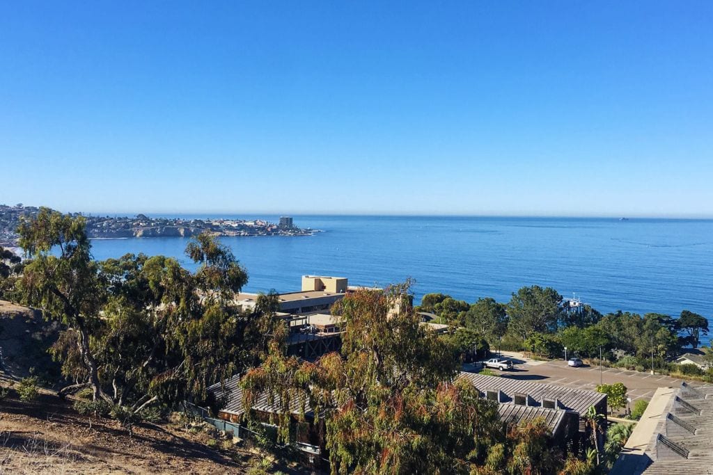 A picture of the La Jolla coastline that you'll run by around the 10 mile mark of the race.