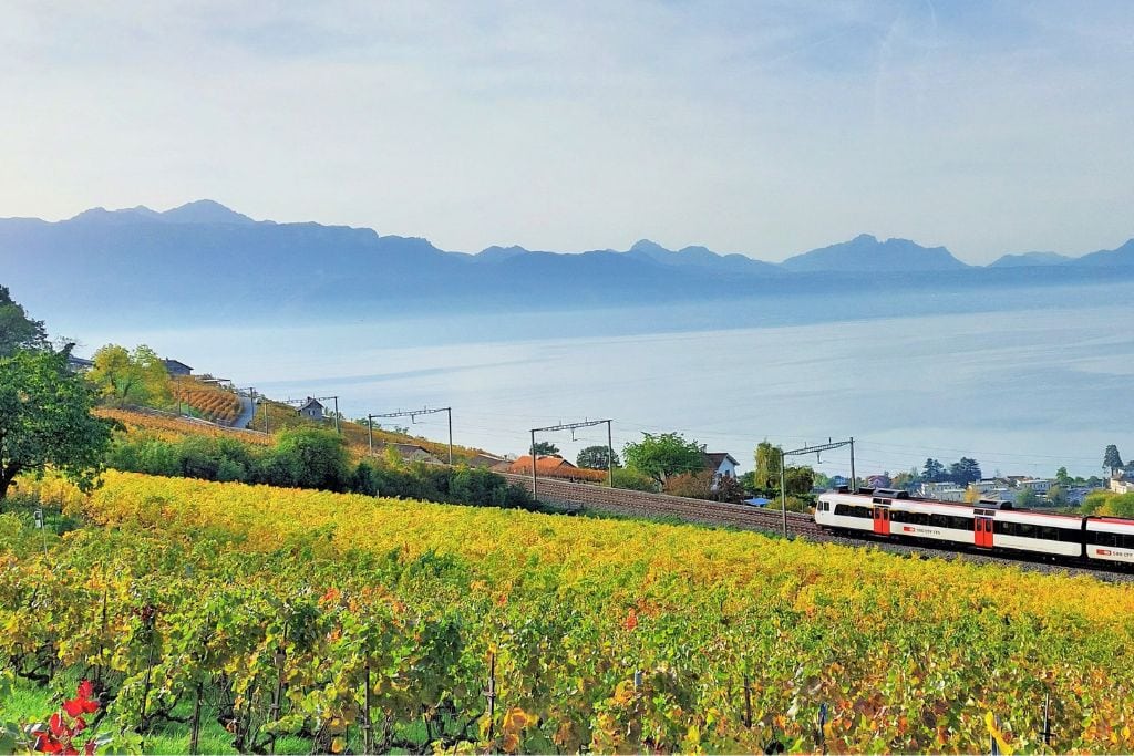 A picture of a train traveling through Switzerland.