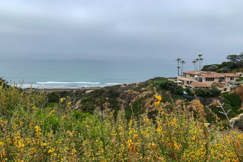 A picture of the lovely views of the coastline along Highway 101. Runners will pass by here around the 4 mile mark for the La Jolla Half Marathon.