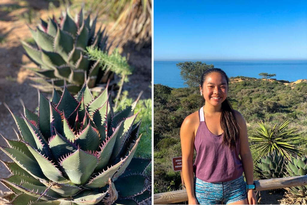 Two pictures. The left picture is of a pretty cactus in Torrey Pines while the right picture is Kristin posing for a picture at Torrey Pines.