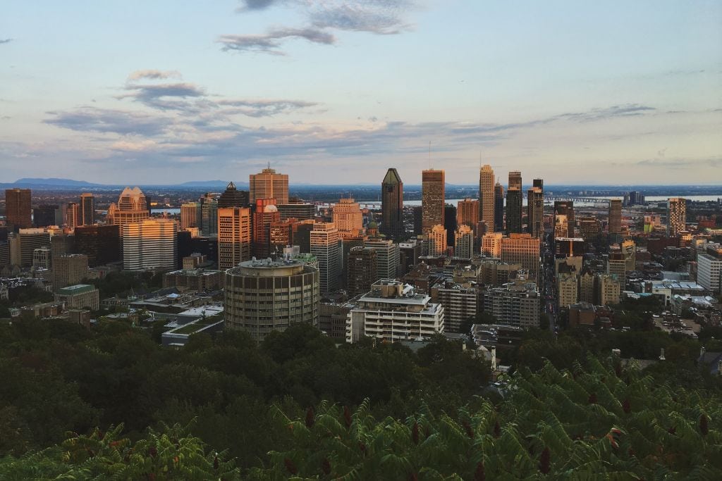 A picture of the Montreal skyline from the top of Mont-Royal Park.