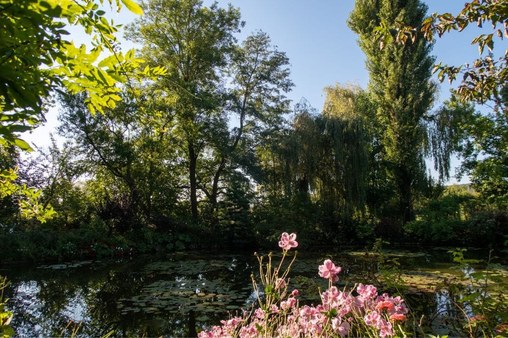 A picture of the lovely water lily pond in Giverny at Monet's Estate. This is the scenery that inspired the Water Lilies paintings at the Musée de l’Orangerie.