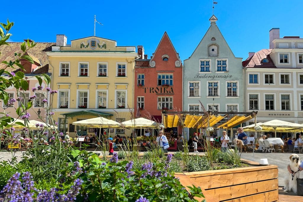 A picture of Tallinn's Town Hall Square and it's colorful buildings.