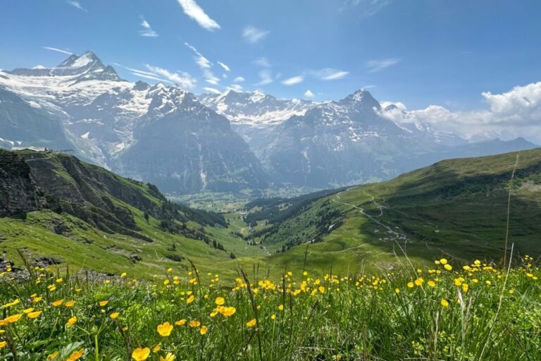 Is Grindelwald Worth Visiting? One Day in Grindelwald Itinerary (2023)