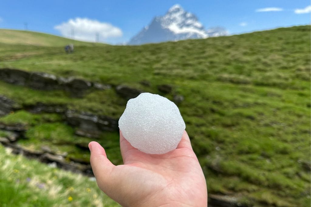A picture of a ball of snow that Kristin made while hiking around Grindelwald First.