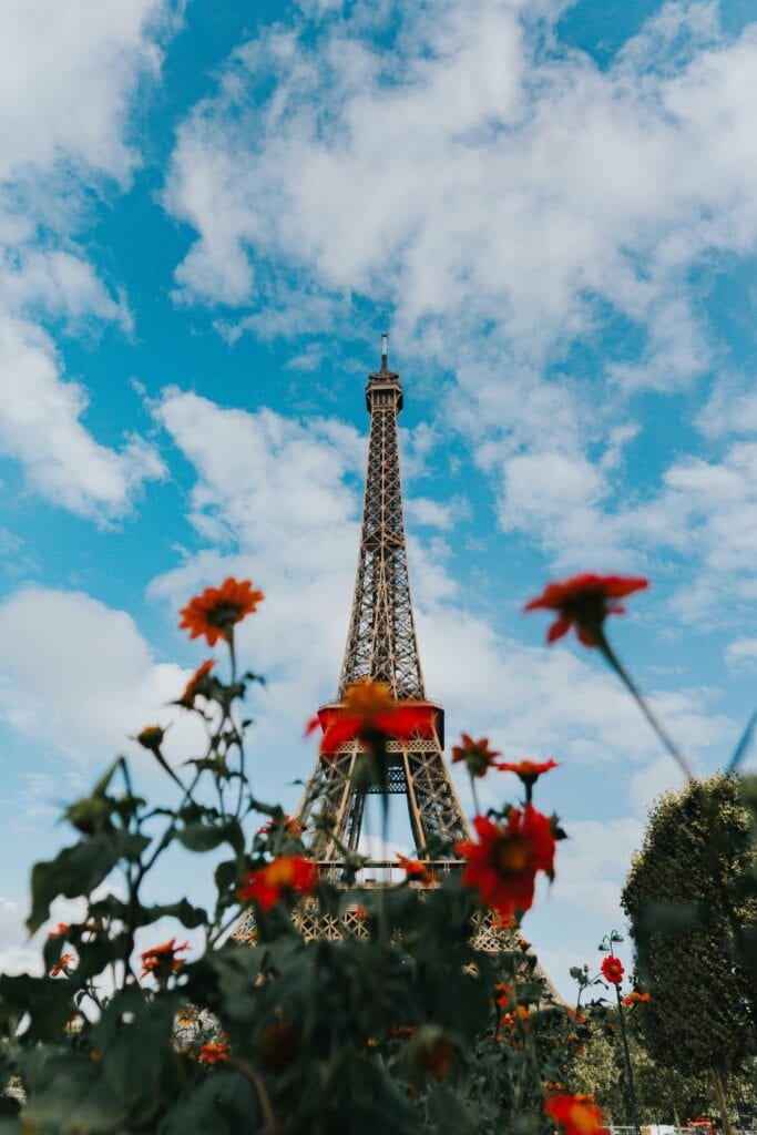 A picture of the Eiffel Tower with red flowers in the foreground.