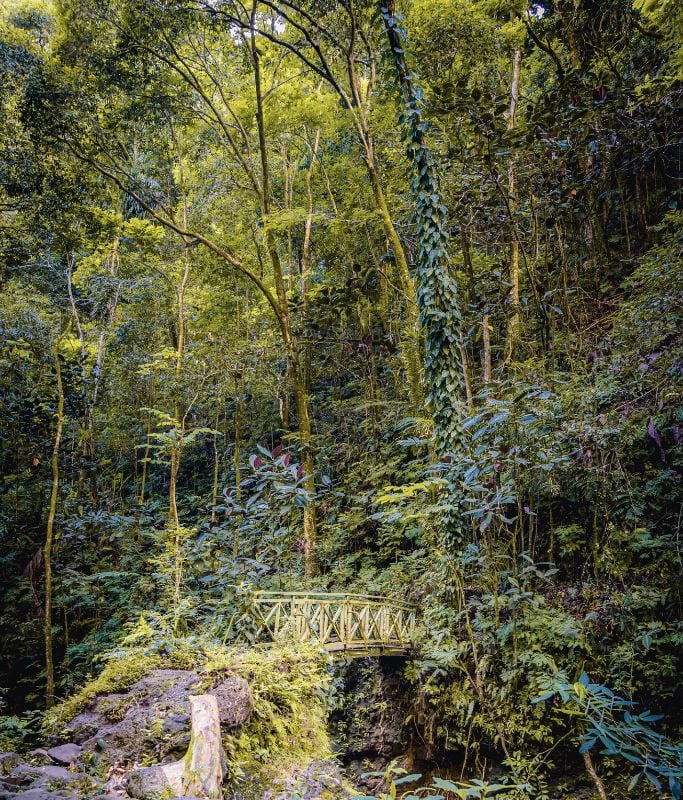 A picture of the bridge that you'll pass by on the trail.