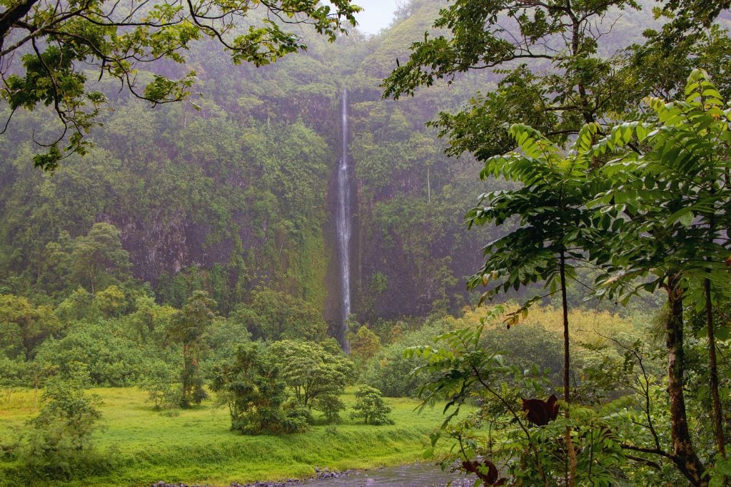 A picture of Papenoo Valley with it's impressive waterfall in the background. A fun thing to do in Tahiti is to go off-roading into the breathtaking valley that's inaccessible to normal cars.