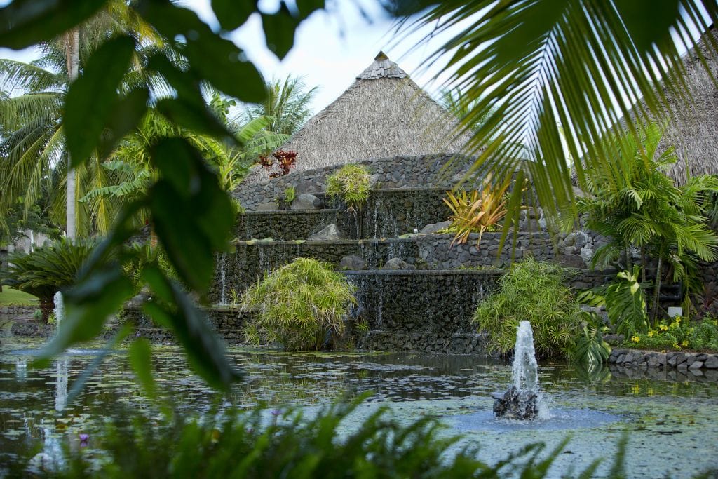 A picture of the large pond that can be found at the Jardins de Paofai in Papeete. 