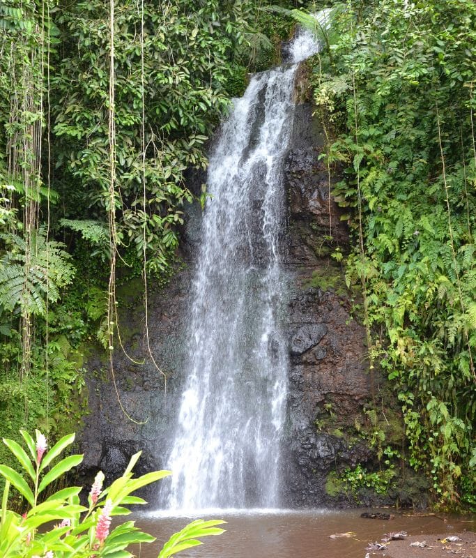 A picture of the beautiful waterfall that awaits at the water gardens at Vaipahi 