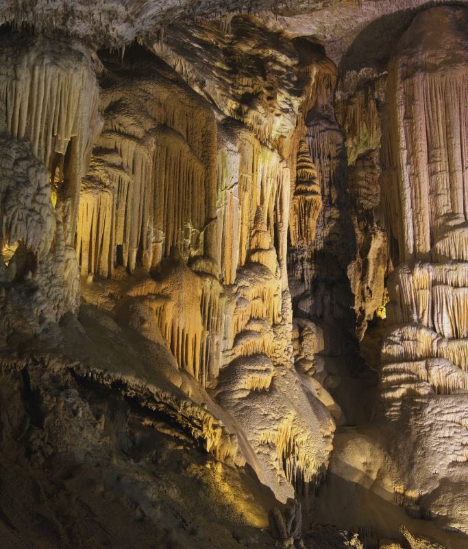 A picture of the Postojna Cave in Slovenia