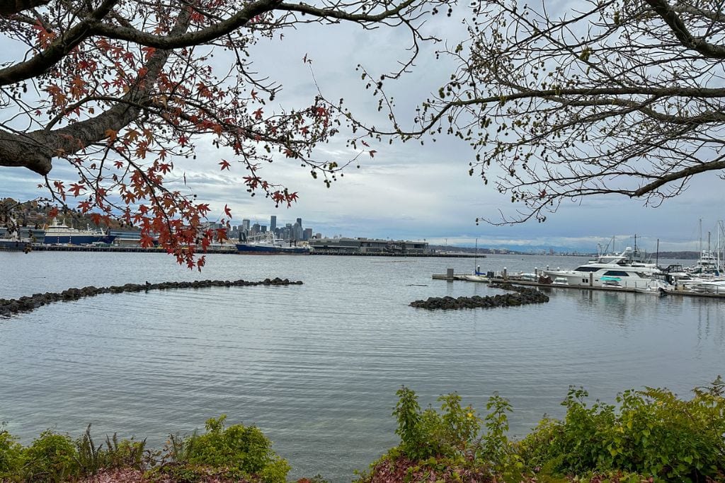 A picture of the Seattle harbor with the giant ferris wheel and surrounding mountains in the picture as well