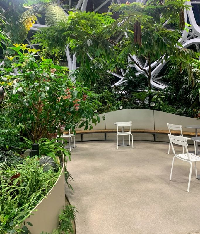 A picture that shows some benches and chairs in the Amazon Spheres in Seattle 