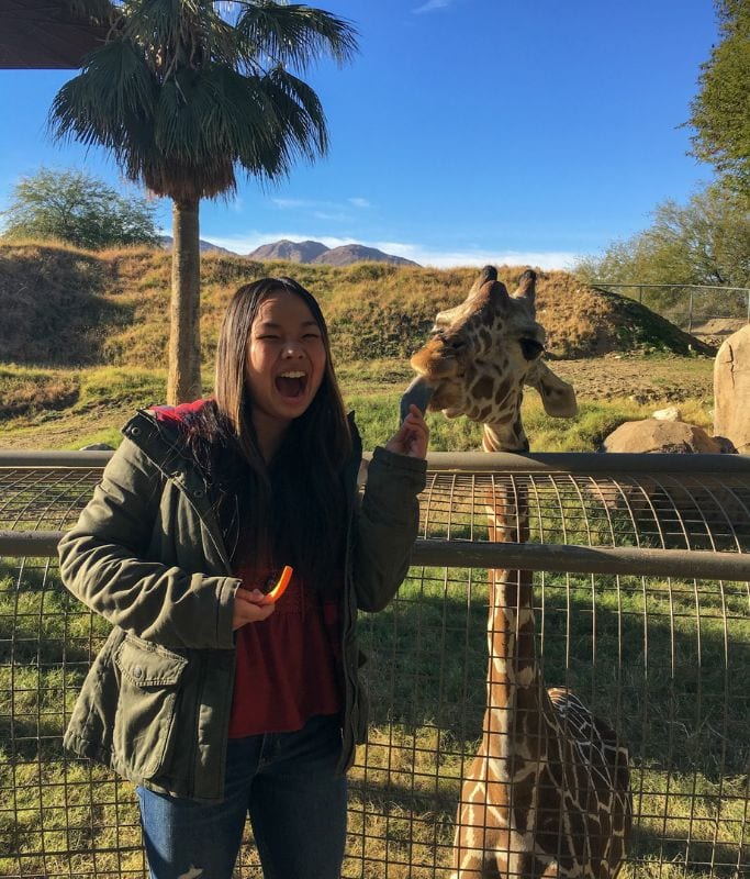 A picture of Kristin feeding a giraffe a carrot at the Living Desert Zoo and Gardens.