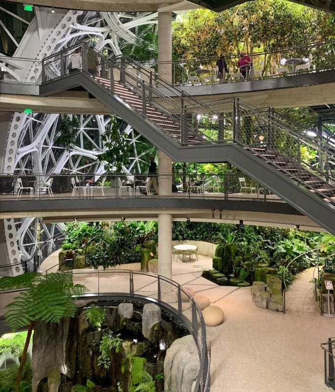 A picture of the many levels within the Amazon Spheres in Seattle