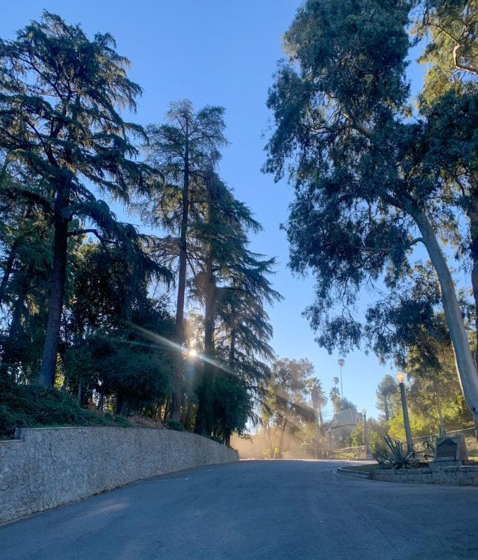 A picture of the parking lot early in the morning at Prospect Park.