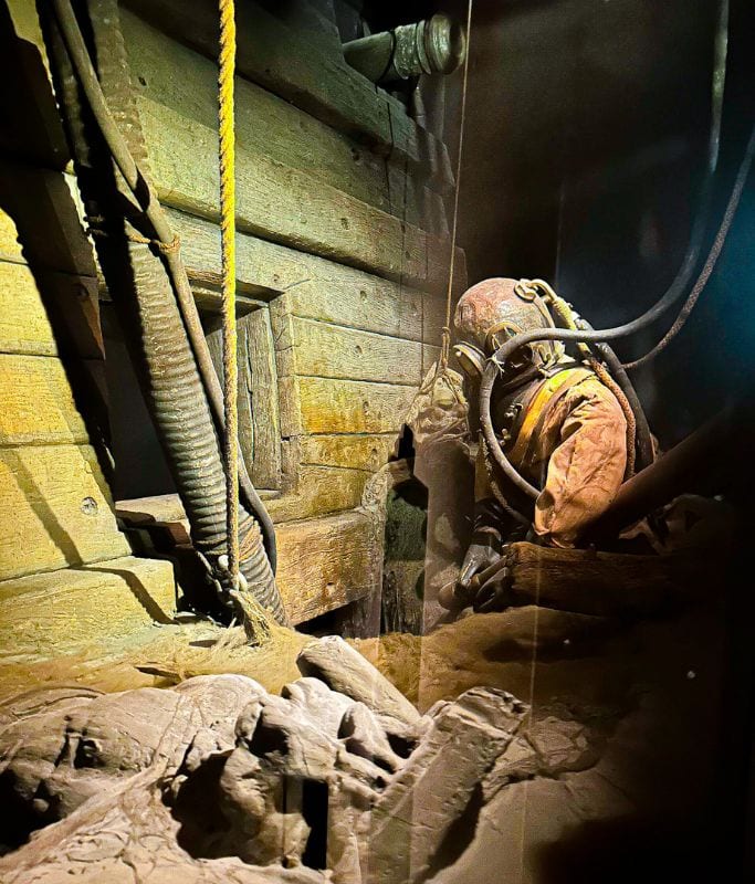 A picture of a sample view of what this preparation looked like when excavating the Vasa ship.